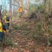 Controla y liquida Coesfo incendio forestal en San Miguel del Puerto