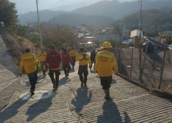 Reporta Coesfo control total de incendio forestal en San Sebastián Coatlán