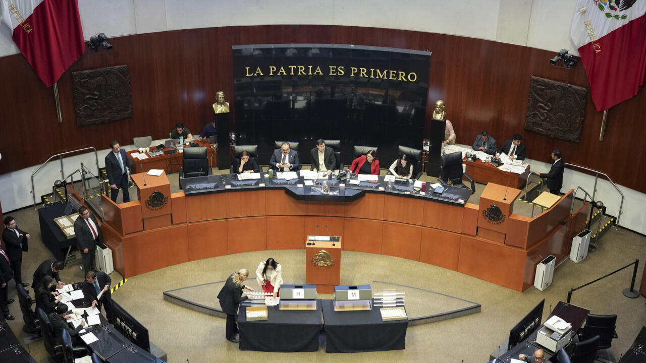 Investigan Senado y TEPJF a candidatos judiciales por vínculos con el narco