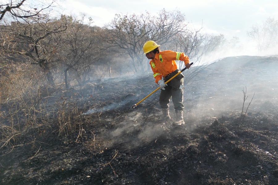 Controlado y liquidado incendio en Cerro del Crestón