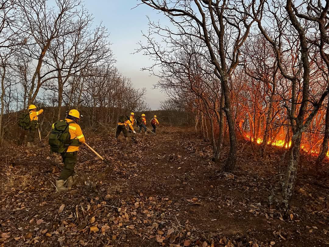 Mantienen Coesfo, instituciones federales y pobladores, combate ininterrumpido a incendio en Tomaltepec