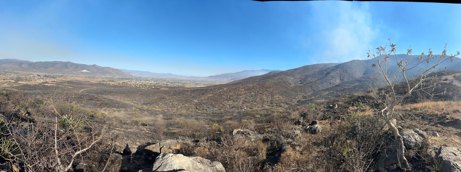 Continúa incendio en Santo Domingo Tomaltepec