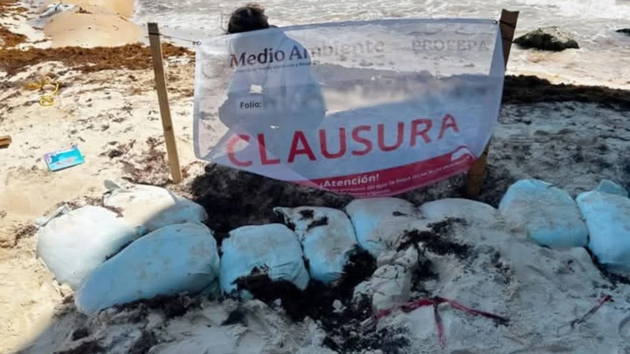 Coloca ProEventos geotubos sin permiso en costa de Quintana Roo