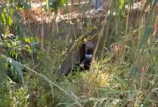 Desvían comuneros de San Agustín Etla el agua hacia el Atoyac