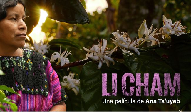 Destaca ‘Li Cham’, documental mexicano que expone la resistencia de mujeres indígenas