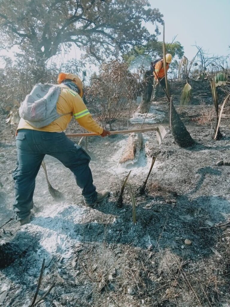 Atiende Coesfo incendio forestal en San Mateo Nejápam
