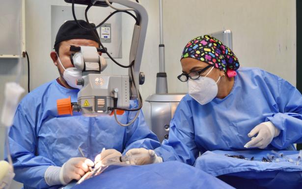 Proyecta IMSS superar 2 millones de cirugías en 2025