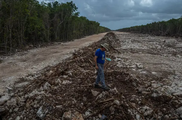 Advierten científicos: Tren Maya intensificará vulnerabilidad climática en Yucatán