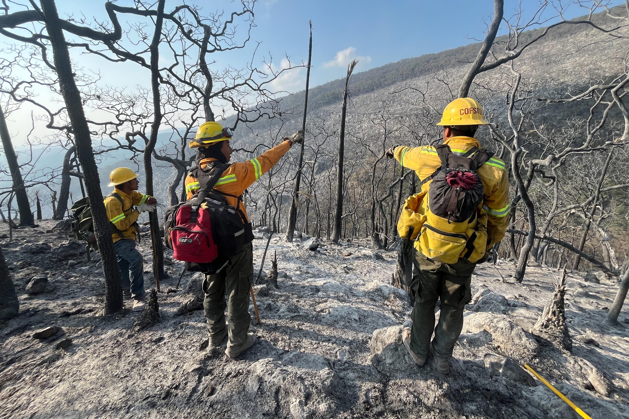 Continúa atención en complejo de incendios de Tepelmeme-Ixcatlán: Coesfo