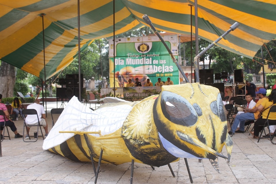 Celebran abejas con festival en la Mixteca para promover su cuidado