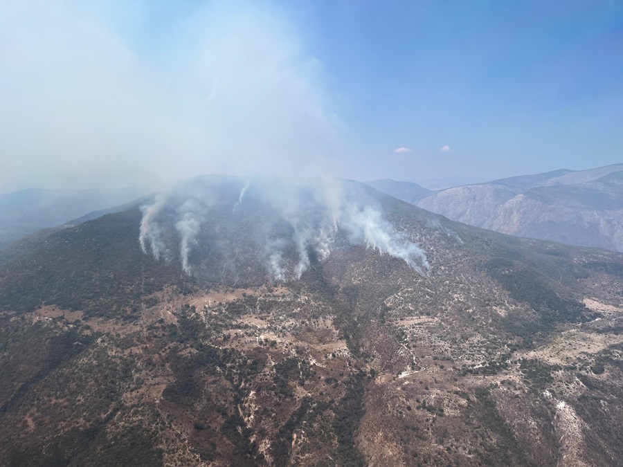 Atiende Coesfo incendio forestal activo en  Tepelmeme Villa de Morelos