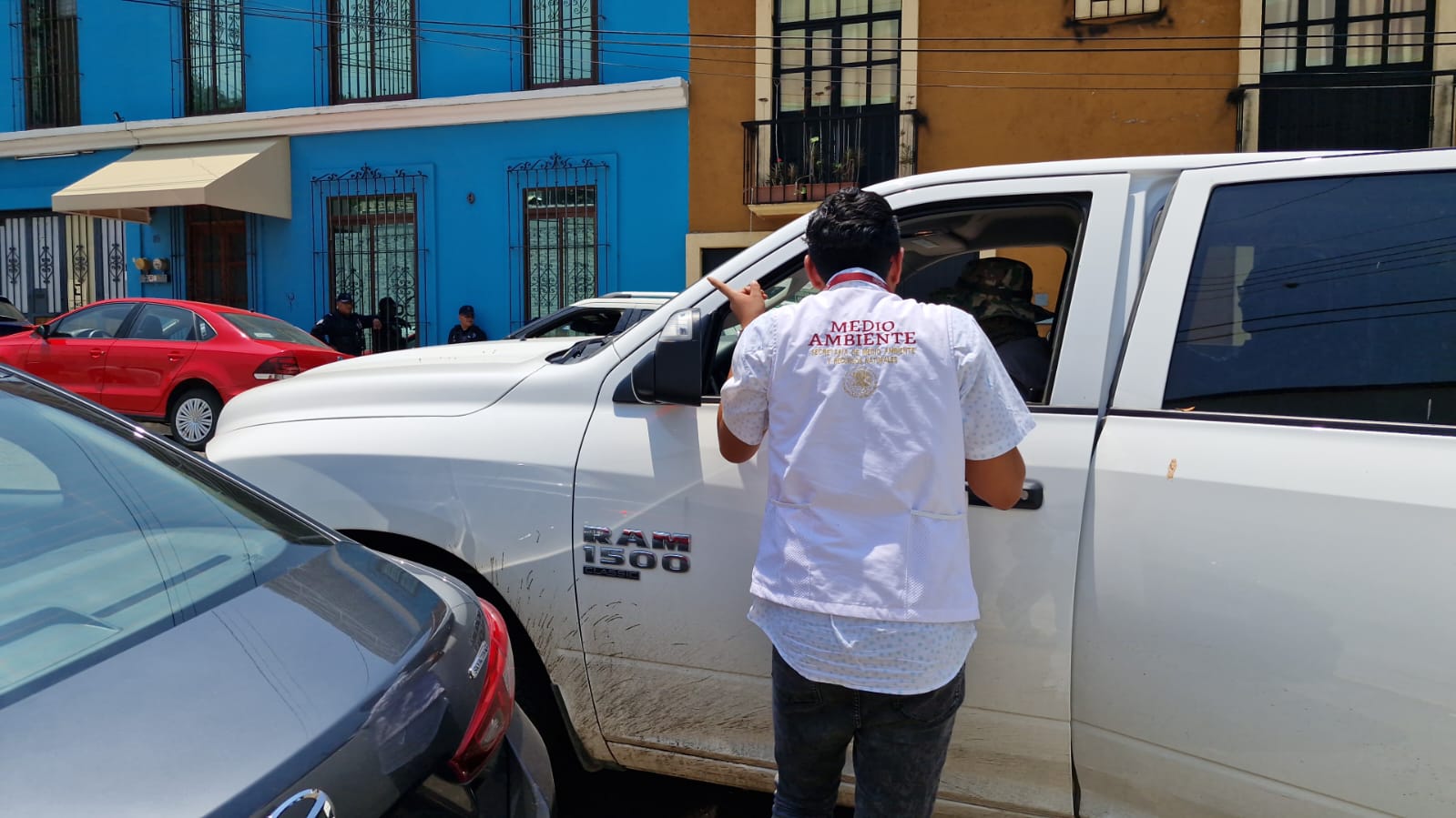 Alertan vecinos sobre posible tráfico de aves en Oaxaca
