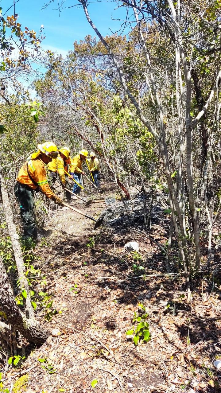 Controlado incendio forestal en Santa María Ixcatlán: Coesfo