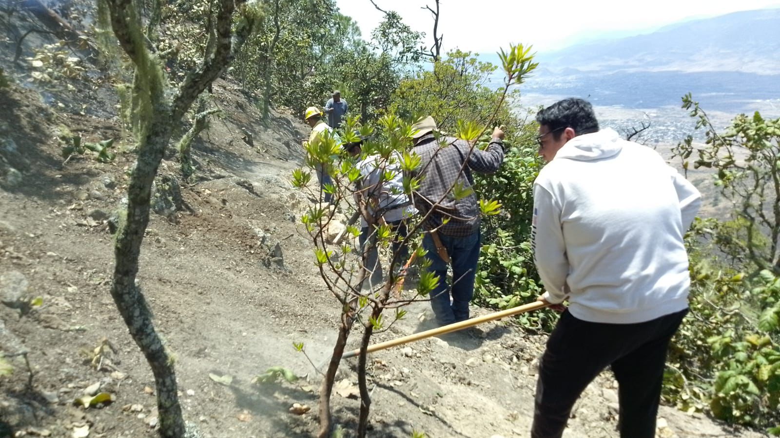 Controla Coesfo incendio forestal en San Lorenzo Albarradas
