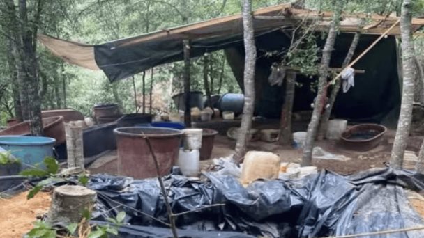 Encuentran narcolaboratorio en Hidalgo tras denuncia por gases tóxicos