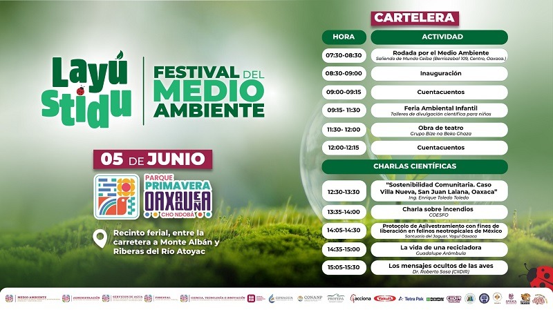 Presentará Gobierno de Oaxaca protocolo para liberación de felinos en el Festival del Medio Ambiente “Layú Stidu”