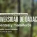 Invitan a charla sobre biodiversidad oaxaqueña en el IAGO Alcalá