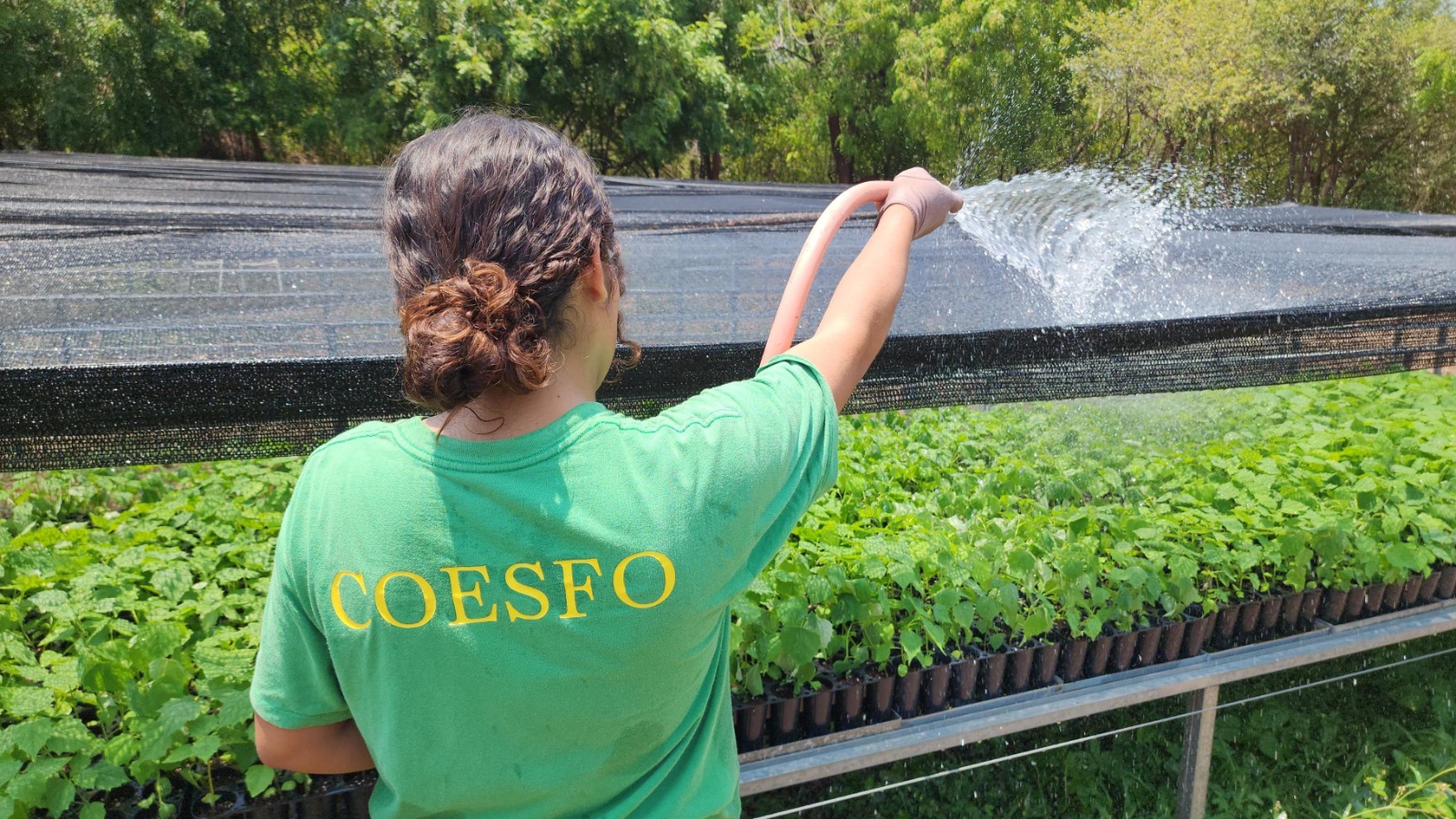 Vivero forestal de El Espinal: ejemplo del compromiso del Gobierno del Estado con la reforestación en Oaxaca