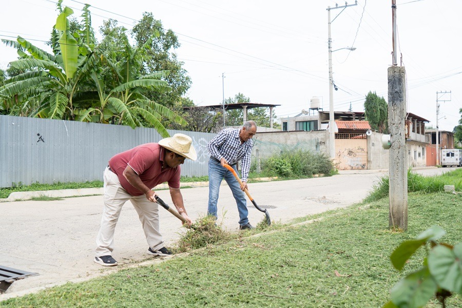 Registra SSO un caso de dengue en la Costa oaxaqueña