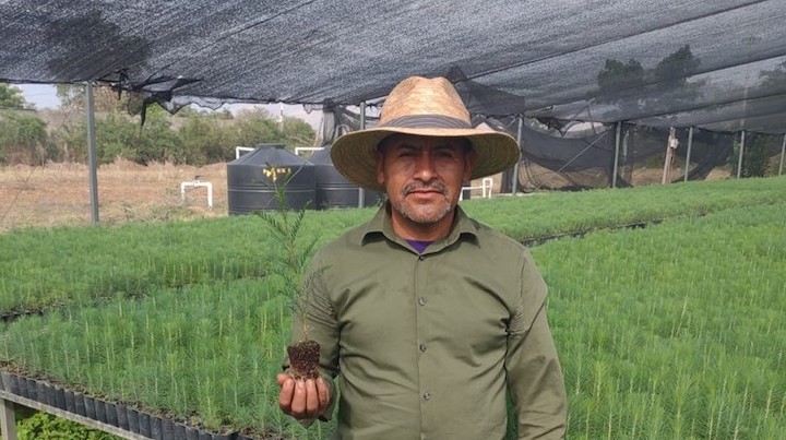 Impulsa Coesfo la reforestación a través del vivero en Santa Ana Tlapacoyan