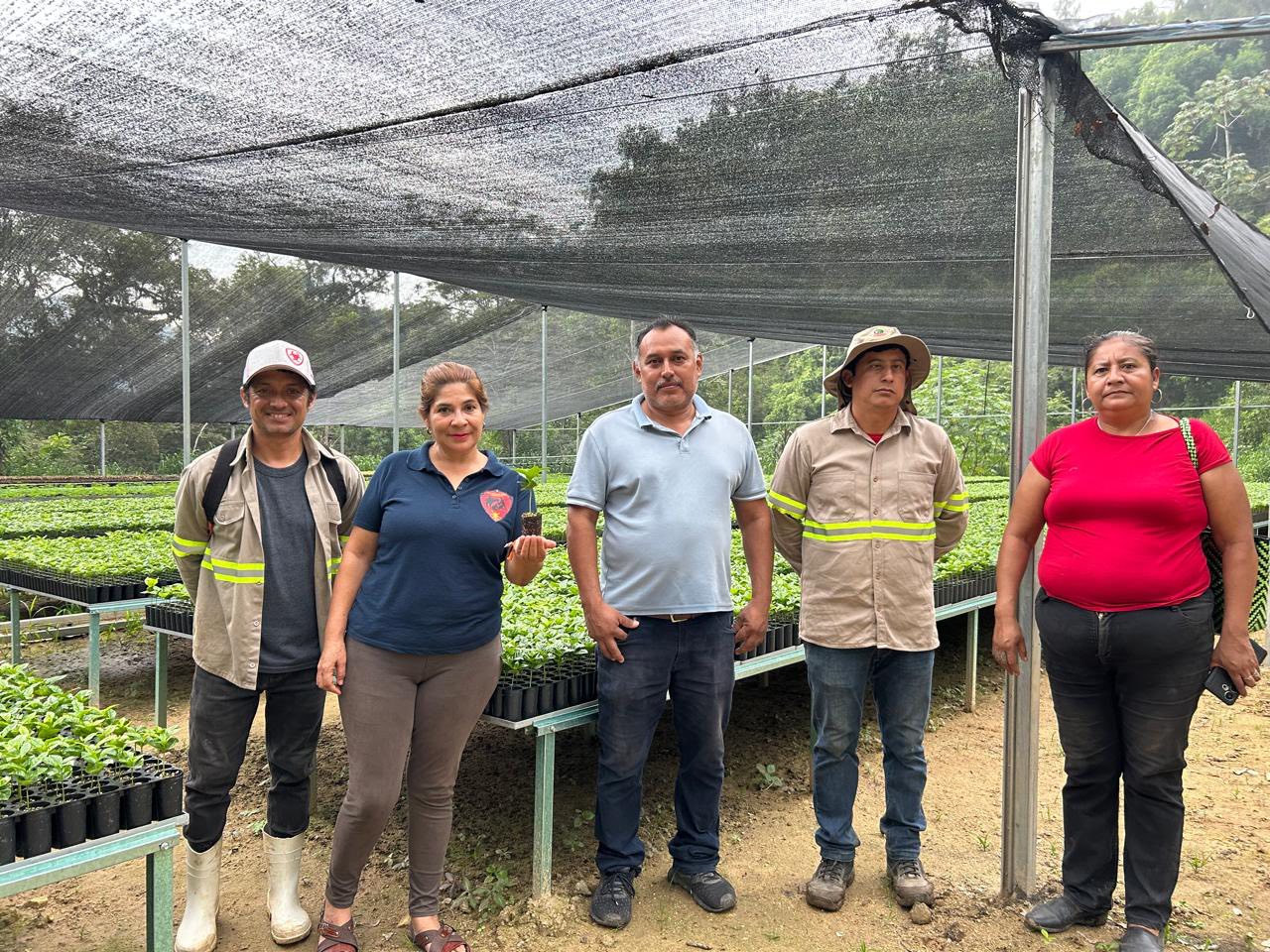 Fortalece COESFO ecosistemas y cafeticultura con más de 29 mil plantas