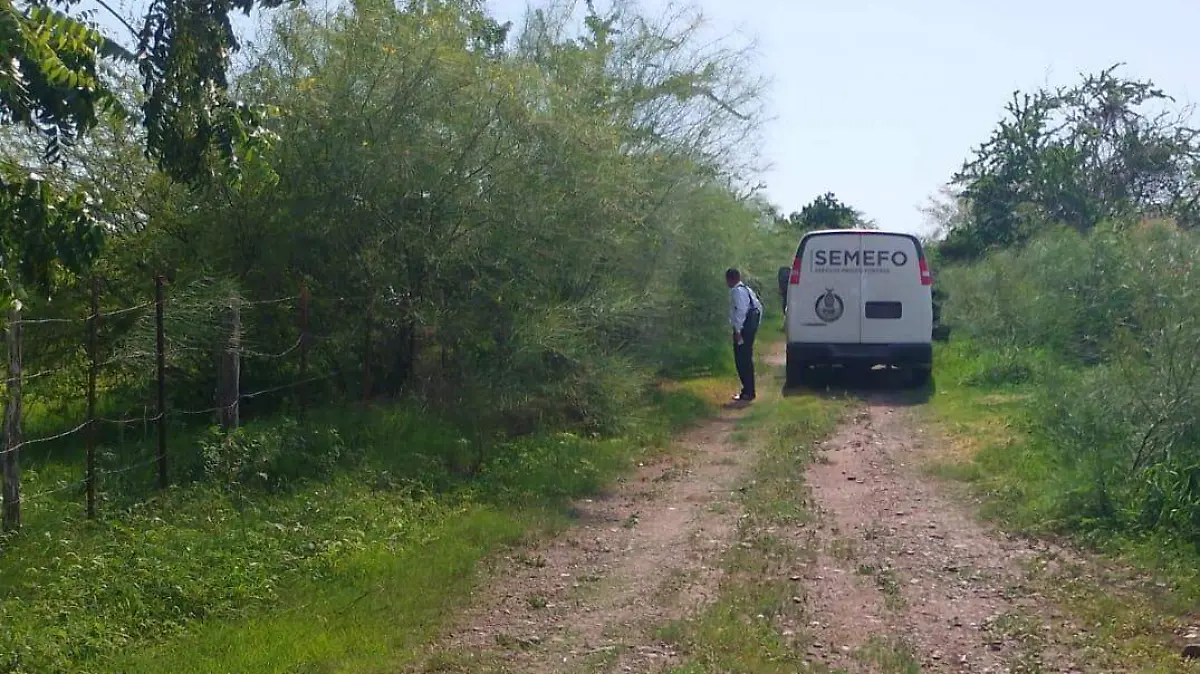 Mata Cocodrilo a velador mientras se bañaba en canal hidráulico en Sinaloa