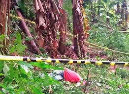 Termina disputa fraternal con homicidio en Sierra Sur