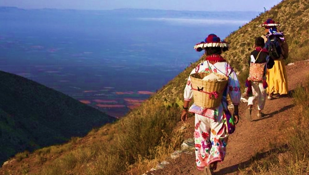 Reconoce Unesco la ruta Wixárika en su Lista del Patrimonio Mundial
