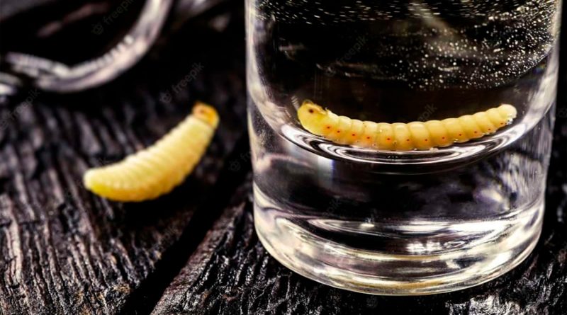 Revela el mezcal el origen de su icónico gusano