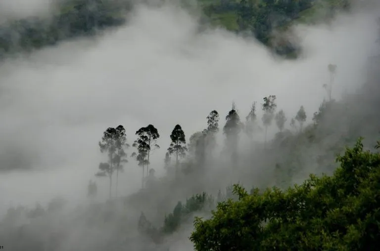 Descubre San Antonio Cuajimoloyas, el pueblo entre las nubes