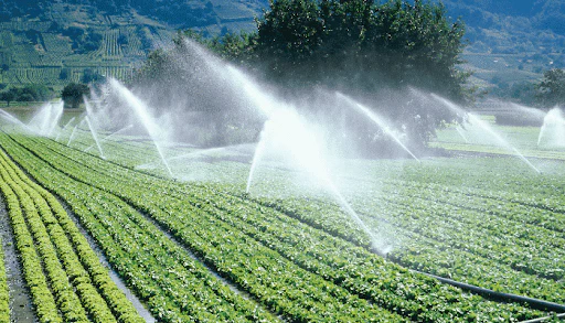 Impulsa Sader plan de riego para optimizar agua en el campo mexicano