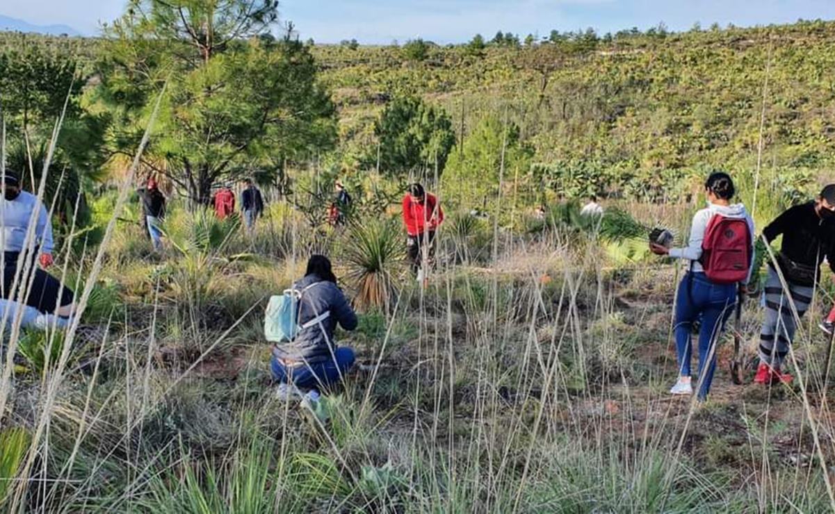 Realizan mega reforestación en Huajuapan para mitigar el cambio climático