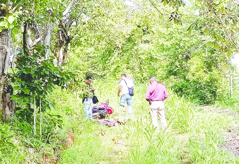 Encuentran cuerpo sin vida de motociclista en Petapa