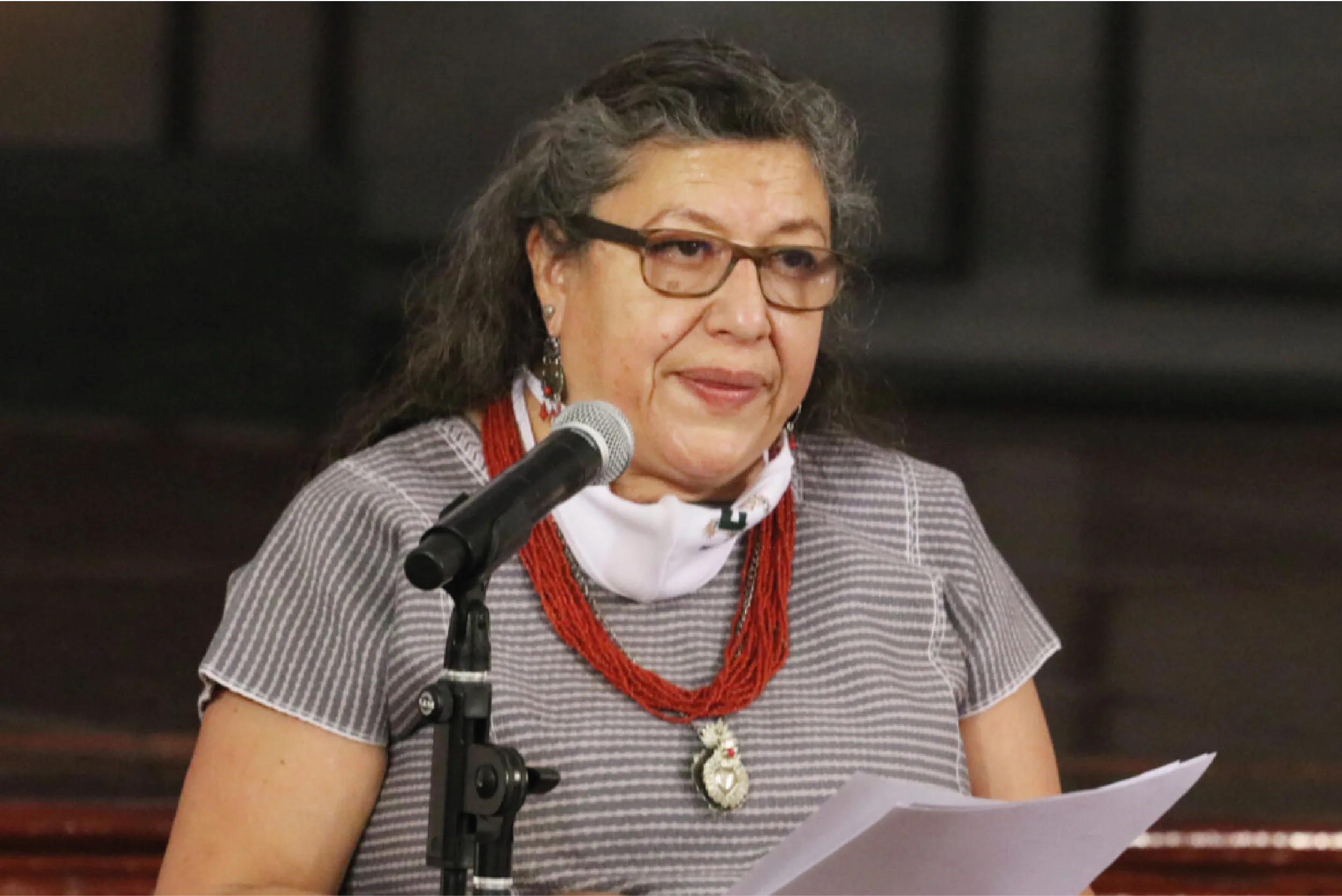 Renuncia Teresa Reyes a la Comisión Nacional de Búsqueda tras críticas