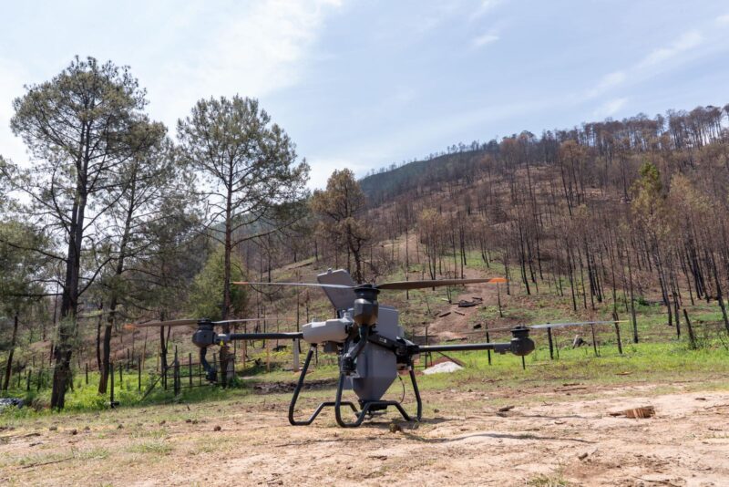 Utilizan autoridades de Michoacán drones para reforestar bosques devastados