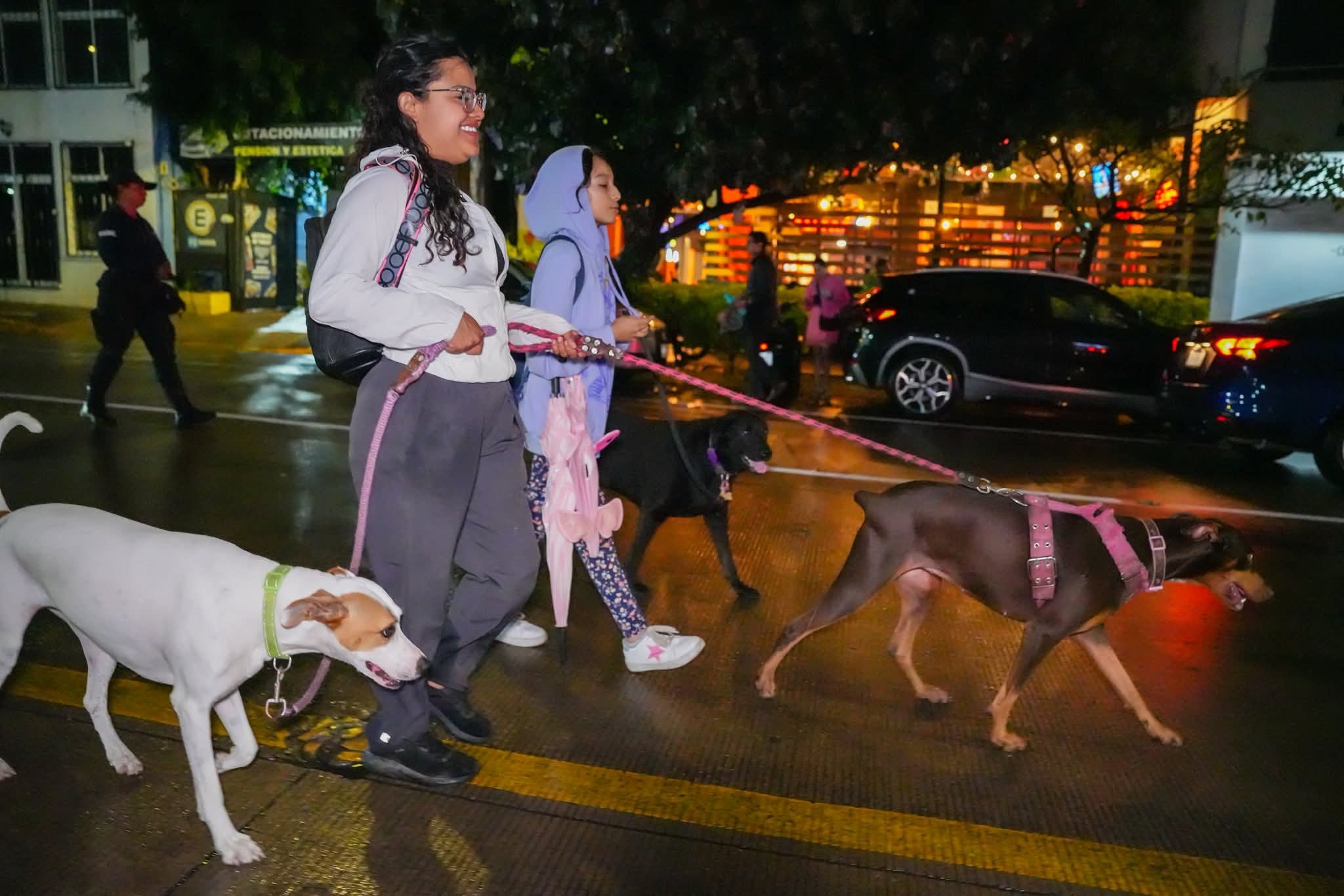 Realiza Gobierno de Oaxaca primera Caminata de Perritos para fortalecer la cohesión social