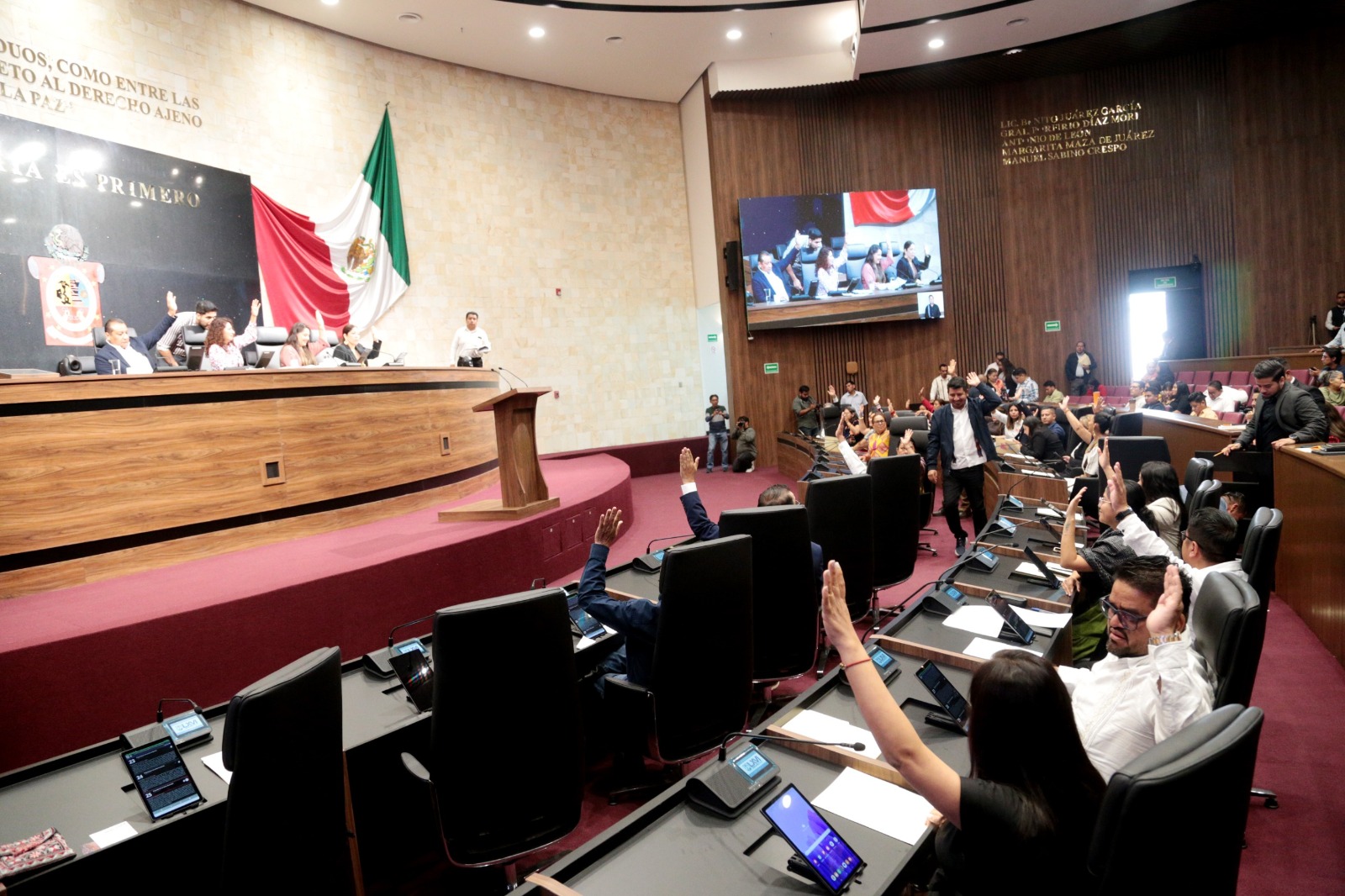 Piden proteger al murciélago magueyero en riesgo