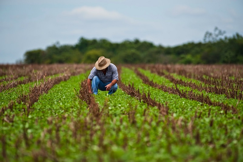Advierten agricultores mexicanos sobre “catástrofe alimentaria” por aranceles de EU