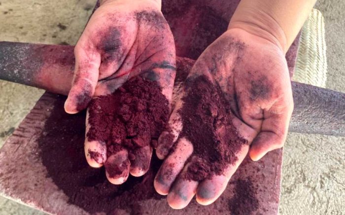 Preserva Oaxaca la herencia cultural de la grana cochinilla