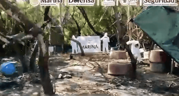 Desmantelan laboratorio clandestino de metanfetaminas en Nayarit con decomiso millonario