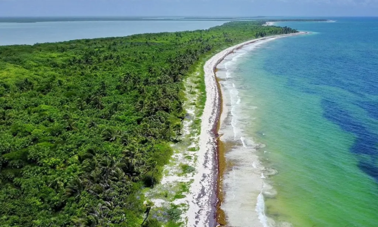 Oculta gobierno mexicano a UNESCO construcción en Reserva de la Biosfera de Sian Ka’an