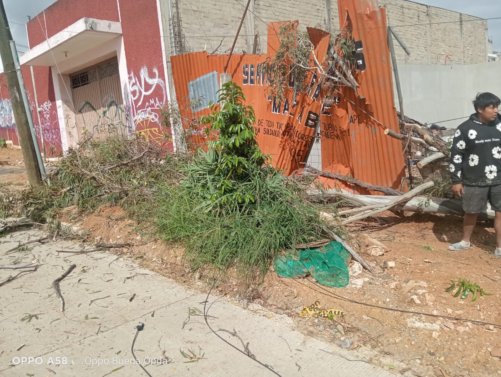 Reporta Protección Civil suspensión del servicio eléctrico en calzada Valerio Trujano por corte irregular de un árbol