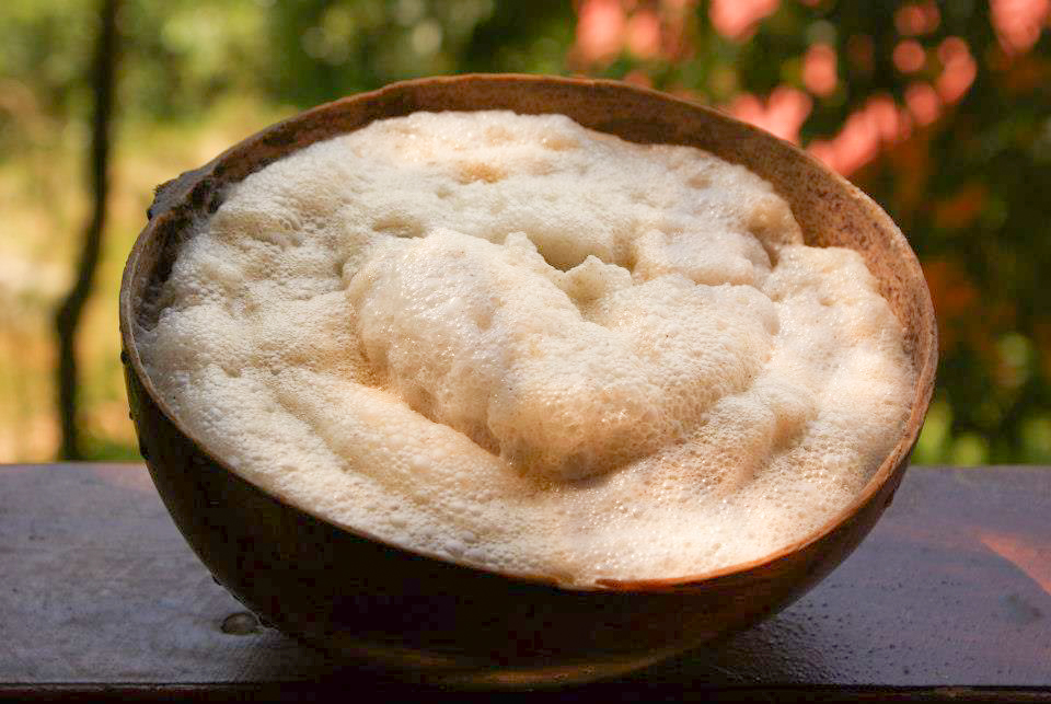 Preserva la comunidad oaxaqueña el popo, una receta prehispánica con cacao y arroz que evoca rituales antiguos