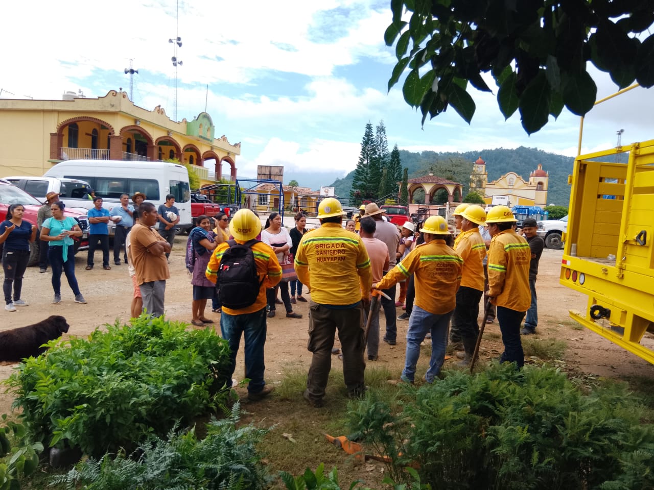 Realiza Coesfo jornada de reforestación en San Isidro Huayápam