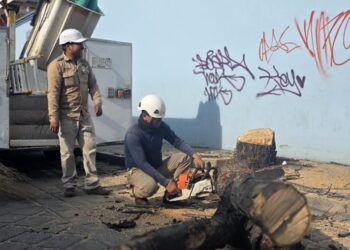 Retira Servicios Municipales de Oaxaca de Juárez árbol seco reportado como riesgoso