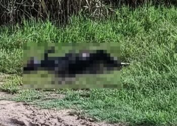 Localizan cuerpo calcinado en Santa Catarina Quiané, Zimatlán