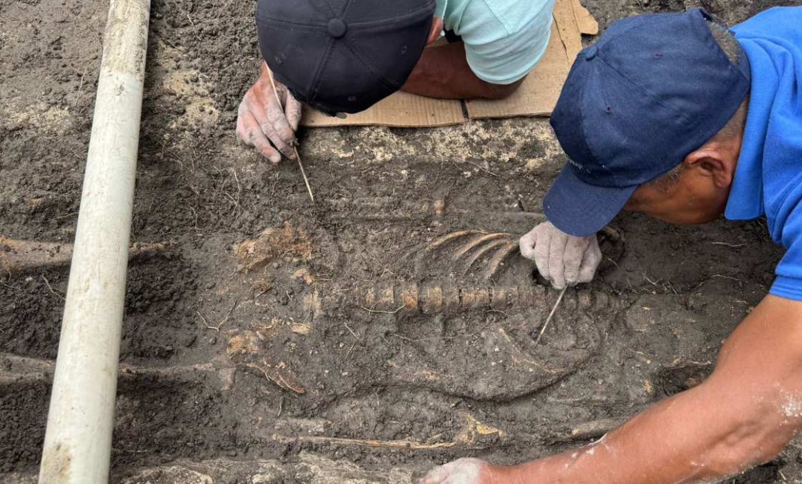 Descubren entierro prehispánico en Mitla durante obras de pavimentación