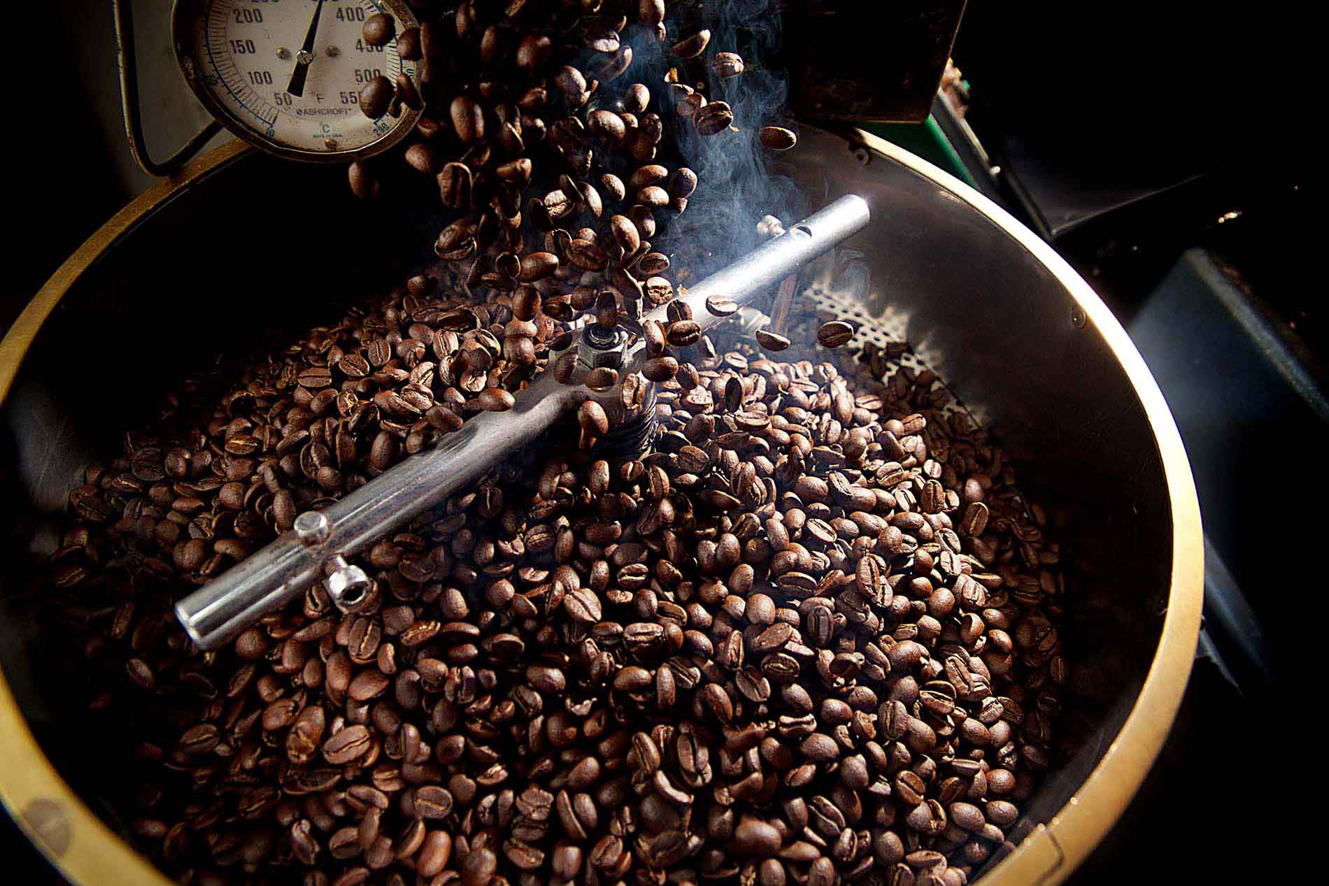Destaca Oaxaca por su café Pluma de calidad superior