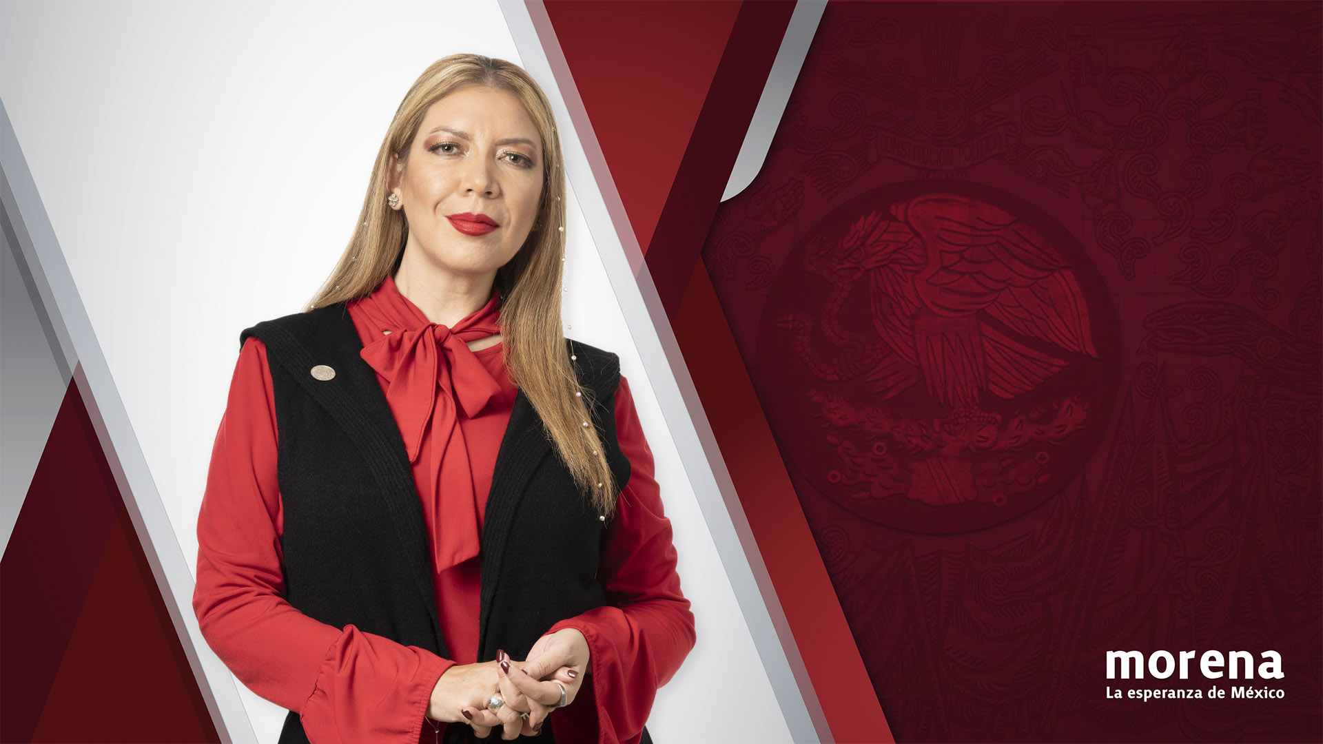 Denuncia diputada Selene Ávila violencia de género contra Monreal y Haces