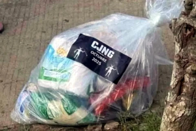 Confirma experto: CJNG distribuye despensas a damnificados por lluvias